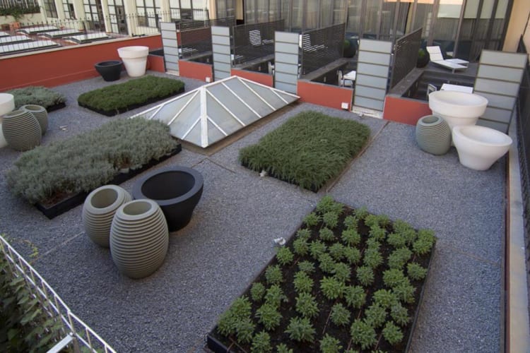 Rooftop garden